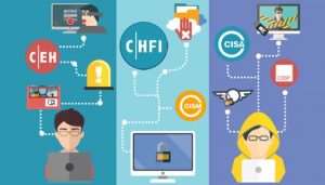 Professional Ethical Hacker Bundle