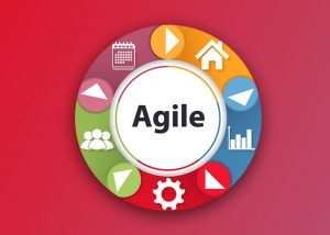Agile Project Management Training