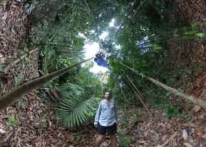 Arduino Powered 360 Degree Animal Camera Trap