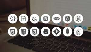 Full Stack Web Development Bundle