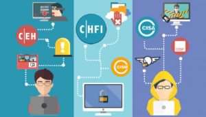 Professional Ethical Hacker Bundle