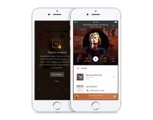 Pandora Premium