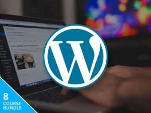 All-In-One WordPress Business Bundle