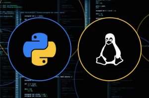 Professional Python & Linux Administration Bundle