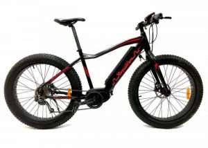Rogue Wave Rugged Electric Bike