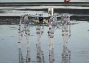 Clearwalker Arduino 8 Legged Robot Created