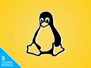 Linux Power User
