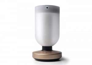 smart home