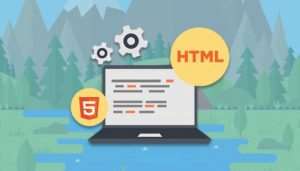 Beginner Web Development Bundle