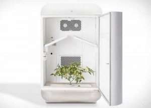 Seedo Hydroponic Growing System
