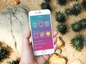 Welzen: Lifetime Subscription