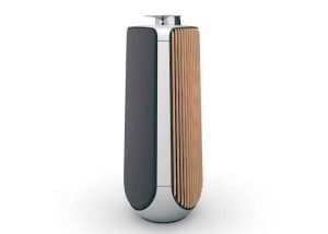 Bang & Olufsen BeoLab 50 Speaker