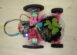 Easy to Build Organic Robot Kits