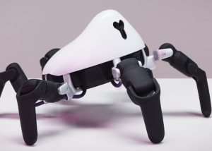 HEXA Programmable Robot