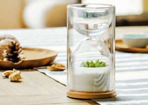 Minimalist Livesglass Auto Watering Green House Planter
