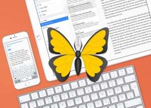 Ulysses Writing Applications
