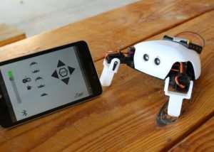 Critter Robot Kit