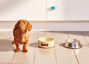 Amazon Dash Buttons