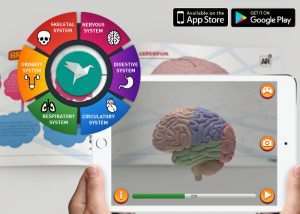 Learn About The Human Body Using Augmented Reality