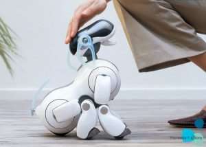 Sony Developing New Household Robot