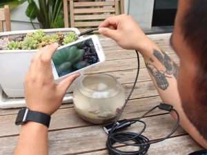 endoscopic camera