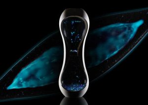 BioGlo Bioluminescent Aquarium