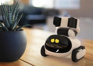 Gomer Robot