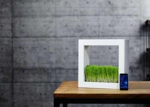 Greenox Indoor Smart Garden