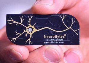 NeuroBytes Electronic Neuron Simulators