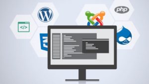 OSTraining Developer Courses Lifetime Subscription