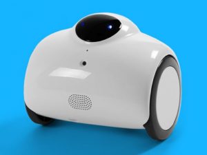 Zubot