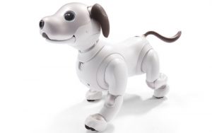 Sony Aibo Robot Dog