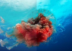 BBC Blue Planet II 4K