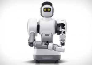 Aeolus Personal Robot