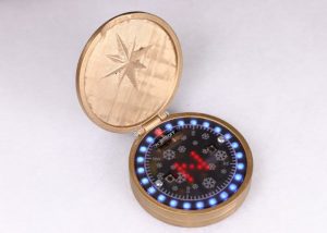 DIY BBC Microbit ZIP Halo Compass