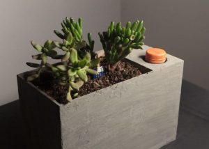 Self Watering Planter