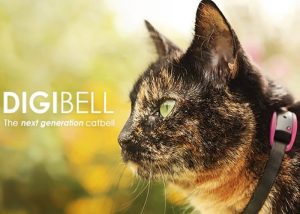 Digibell Next Generation Cat Bell