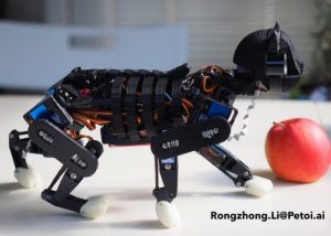 OpenCat DIY Programmable Robot Cat