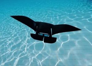 Robotic Manta Ray