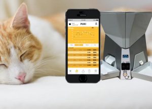 Automated Smart Cat Feeder
