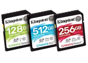 Kingston Canvas Series Flash Cards