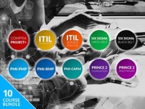 Project Management Professional