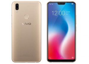 Vivo