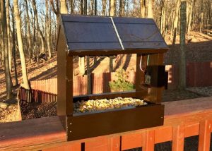 Raspberry Pi Solar Powered Nature Camera