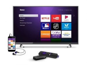Roku Enhanced Voice Search