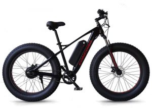 California Bicycle Factory Electric Bike