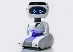 Misty II Programmable Robot