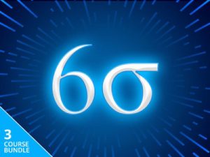 Lean Six Sigma