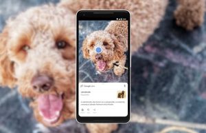 Google Lens