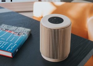 Casey Sound Wooden Smart Speaker Case